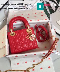 Túi Dior Lady 3 ô 17cm siêu cấp (1)