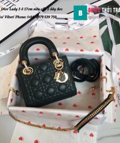 Túi Dior Lady 3 ô 17cm siêu cấp (1)