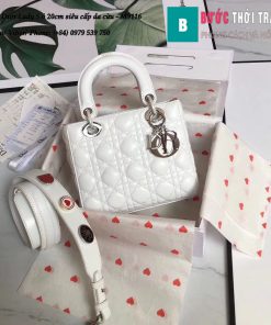 Túi Dior Lady 5 ô siêu cấp size 20cm da lambskin (10)