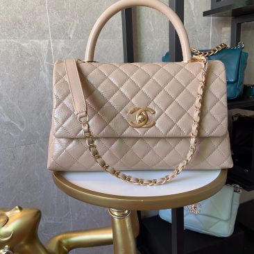 Túi xách Chanel Coco siêu cấp size 29 cm - A92992 (20)