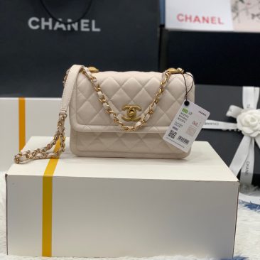 Túi xách Chanel Crossbody Bag siêu cấp size 22 cm - AS2055 (19)