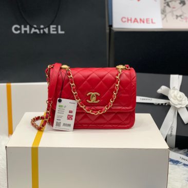 Túi xách Chanel Crossbody Bag siêu cấp size 22 cm - AS2055 (27)