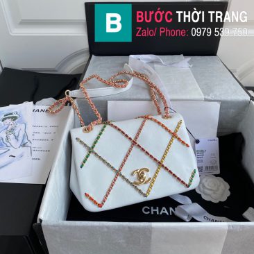 Túi xách Chanel Flap Bag (1)