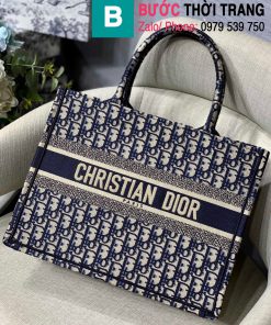Túi xách Dior Book Tote (1)