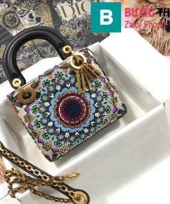 Túi xách Dior Lady (1)