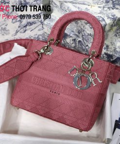 Túi xách Dior Lady (1)