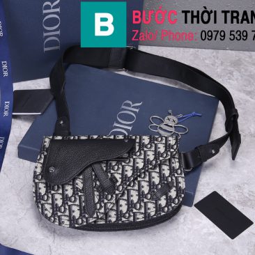 Túi xách Dior Saddle Bag (1)