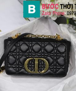 Túi xách Dior Caro (1)