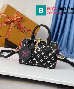 Túi xách LV siêu cấp (73)