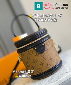 Túi xách LV siêu cấp (82)