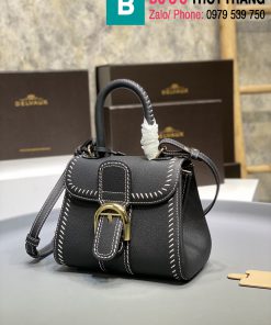 Túi xách Delvaux - Brillant cao cấp da bê size 20cm màu đen