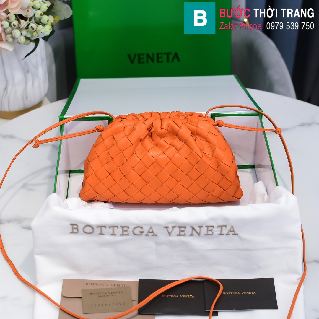 Túi xách Bottega Veneta the pouch (73)