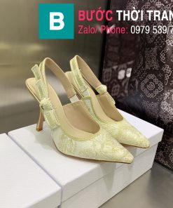 giày cao gót dior