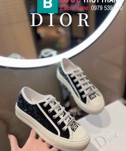 giày thể thao dior