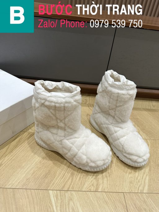 boot dior