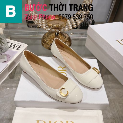 giày dior