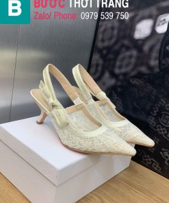 giày cao gót dior