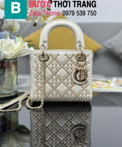 Túi xách Dior lady 17cm (1)