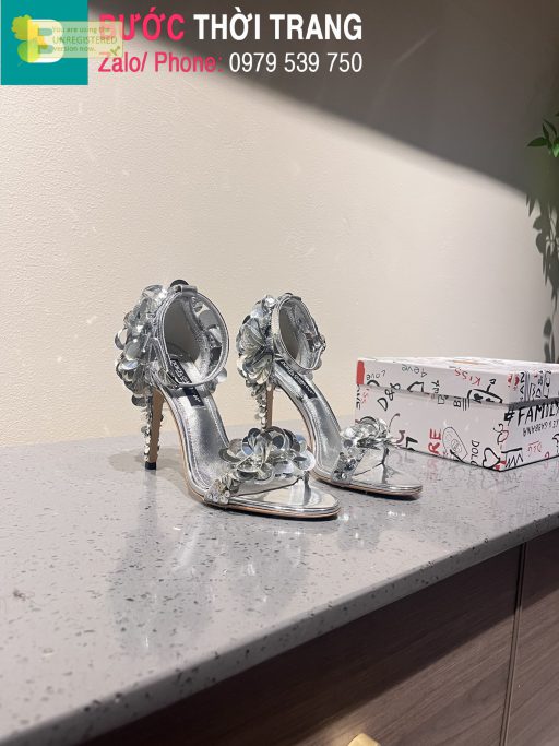 giày D&G
