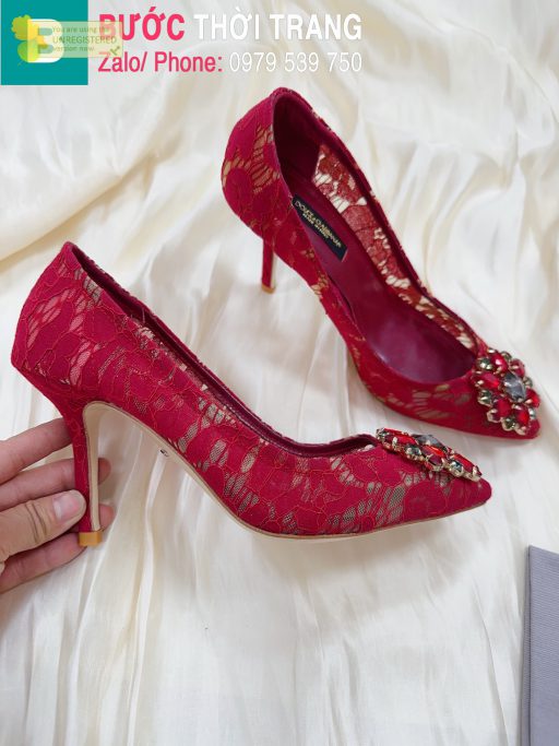 giày D&G