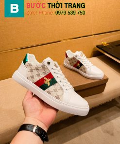 Giày gucci ong nhiều màu