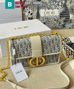 Túi xách Dior Montaigne màu trắng khóa vàng sang trọng size 26x20 cm