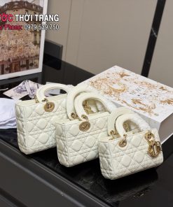  Túi xách đeo chéo Dior lady size 17,20,24 cm nhiều màu ô trám da bê mềm